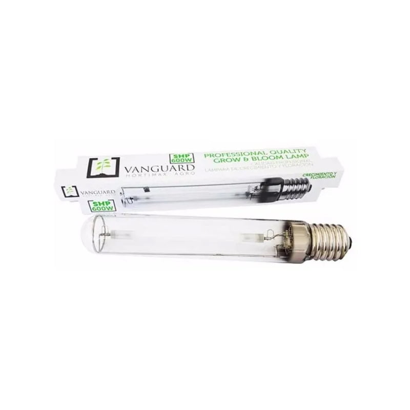 AMPOLLETA 250 W VANGUARD